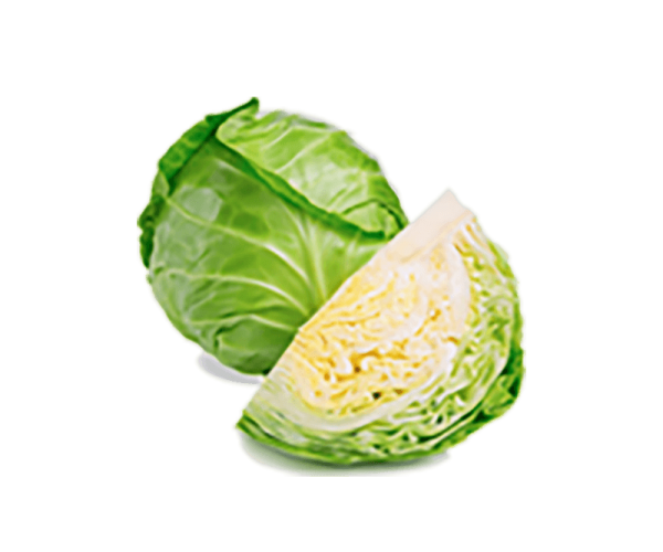 Fresh Cabbages